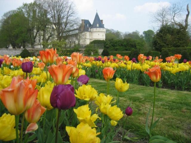 Вилла Le Refuge De Normandie Avec Spa Et Cheminee Mesnieres-en-Bray Экстерьер фото